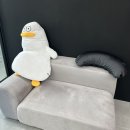 GS25봉명뉴타운점 | 대전 봉명동 속눈썹연장 잘하는 곳 설브 봉명본점 후기