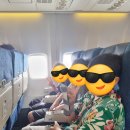 바사팬스파 | 혼자 쌍둥이 조카 + 아들 데리고 제주여행