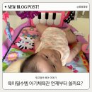 정도 유도 체육관 | 육아필수템 아기체육관! 사용시기부터 감각자극 혼자놀기 끝판왕 마더케이 고리 후기까지