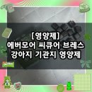 씨큐어 | [영양제] 강아지 기관지 영양제 추천 / 에버모어 씨큐어 브레스 기관지 영양제