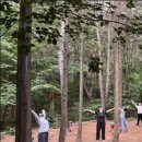 인천에 산림 류양 법에 따른 치유의 숲이 첫 조성 된다. 이미지