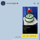 비비드코알라 이미지