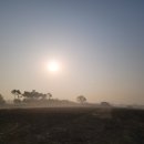 닛시농장 이미지