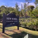 뉴코리아 이미지