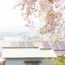 마루하우스 민박 이미지