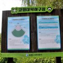 대덕사회인야구장 이미지