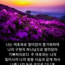 샬롬 이미지