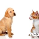 민영산업 이미지