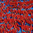 신흥건조기합천군대리점 이미지