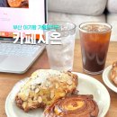 시온목장 | 부산 아기랑 갈만한곳 실내 시온 대형카페 모래놀이 토끼 먹이주기