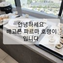 파르마 스테이 이미지