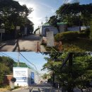 판교테크노파크공원 네이버블로그