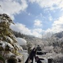 두꺼비목장 | 가평 아침고요가족동물원 ㅣ 눈 내린 풍경이 너무 예뻤던 가평 아이랑 갈만한 곳