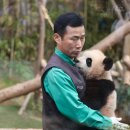 자장자장 이미지