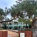 가배카페 | 의왕 왕송호수카페 가배정원 솔직 후기 | 데이트·나들이 코스로 추천