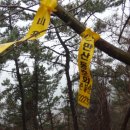 암태 노만사 이미지