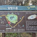 선흘 알밤오름 &amp; 송당 돝오름 이미지
