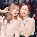 지유 카카오 검색결과