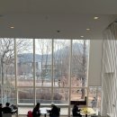 피제리아스텔라레 이미지