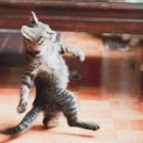 3학년8반 이미지