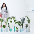 MESENSE 이미지
