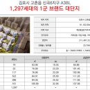 센트럴자이 이미지