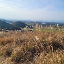 새별오름 이미지