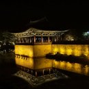 힐스톤애견풀빌라 이미지