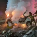 진해대로-1 이미지