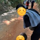 대덕2통 | 21개월 아기와 대전 계족산 황토길 체험, 맨발걷기의 효능 알아보기