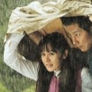 강풍 이미지