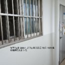 노송로 이미지