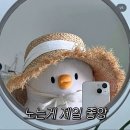 중앙시장 내 공중화장실 | 샌드•순두부젤라또•강문해변•경포호•경포대•오죽헌•안목해변•중앙시장 오징어순대•중앙닭강정 후기