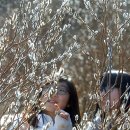 입춘허브 이미지