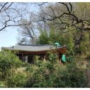 창녕 오여정 이미지