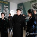 현지원색