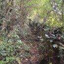 제지기오름 이미지