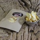 꽃피는집 이미지