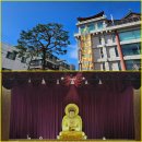 불기2569년 9월 셋째주(9/21),정기일요법회,[제524회]구도정진법회 이미지