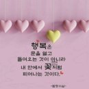 10월의 마지막날 점심편지 / 10월의 끝자락에서 안부를 전합니다 이미지