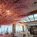 분당-268 이미지