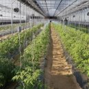 정수농장 이미지