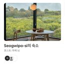 스테이하례 이미지