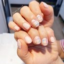 아르고네일 이미지