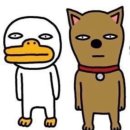 잭 - 양산시 양산역9길 13 | 잭인더쇼 후기