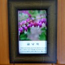 양양들꽃내음펜션 이미지