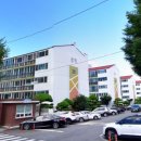 사파동210 이미지