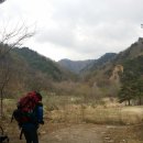 박달나무쉼터 옆 이미지