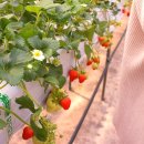 벧엘농장3 이미지