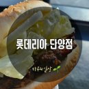 롯데리아단양점 이미지